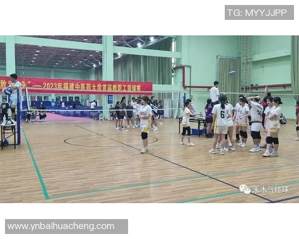 深圳排球队的默契配合与战术探讨：聚焦团队协作与比赛表现