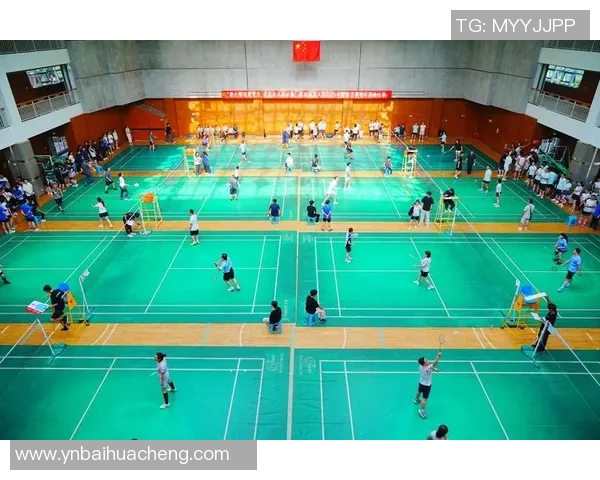 深度对话赵丽分享羽毛球生涯背后的故事与奋斗历程