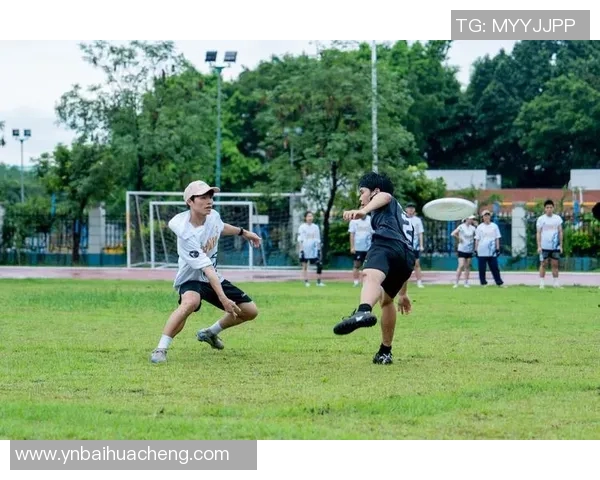 重庆飞盘队的进攻体系解析与战术创新探索 重庆飞盘队的进攻体系解析与战术创新探索