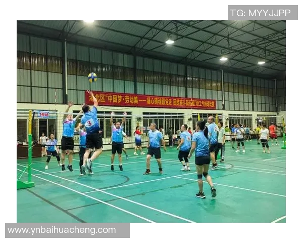 专访陈娜：探寻排球背后的成功秘诀与奋斗故事