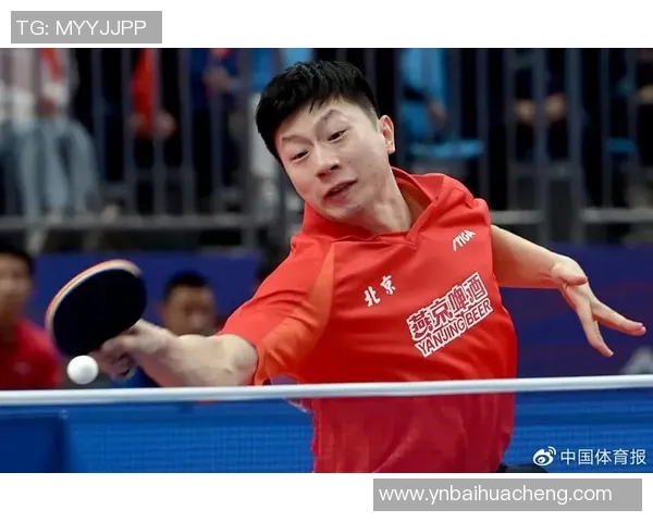 城市联赛特别报道:杭州乒乓球队如何逆袭成冠军的精彩历程 城市联赛特别报道:杭州乒乓球队如何逆袭成冠军的精彩历程