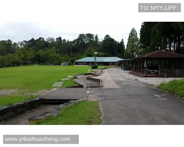 岐阜与千叶市的城市魅力对比探讨与文化交流之旅