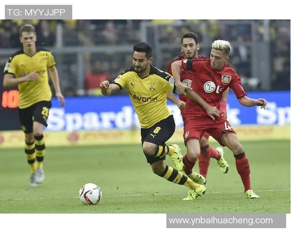 2014年多特蒙德与纽伦堡精彩对决全场录像回放分析