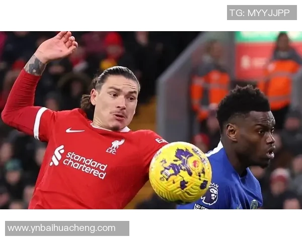 努涅斯在赛场上的崛起与挑战解析及未来发展展望